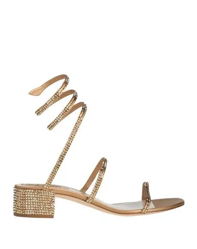 René Caovilla Rene' Caovilla Woman Sandals Gold Size 7 Textile Fibers