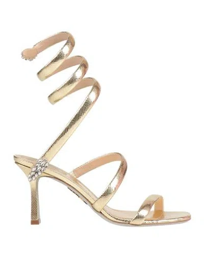 René Caovilla Rene' Caovilla Woman Sandals Gold Size 7 Leather
