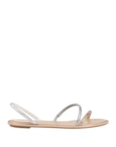 René Caovilla Rene' Caovilla Woman Sandals Gold Size 8 Textile Fibers
