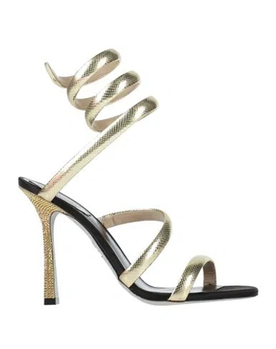 René Caovilla Rene' Caovilla Woman Sandals Gold Size 6 Leather