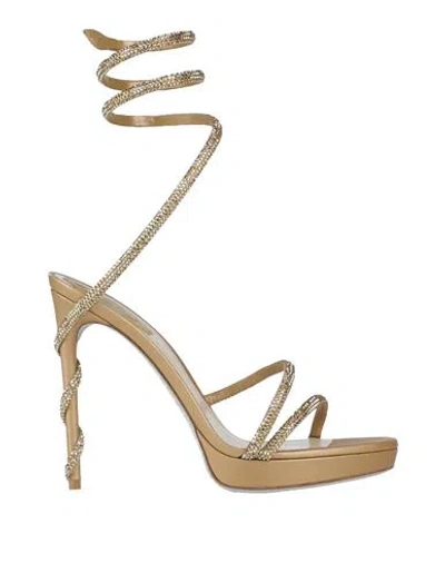 René Caovilla Rene' Caovilla Woman Sandals Gold Size 9 Textile Fibers In Black