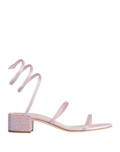 René Caovilla Rene' Caovilla Woman Sandals Lilac Size 6.5 Textile Fibers In Animal Print