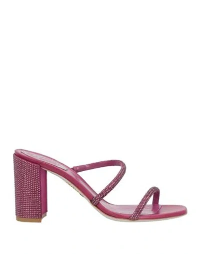 René Caovilla Rene' Caovilla Woman Sandals Mauve Size 8 Leather, Textile Fibers In Purple