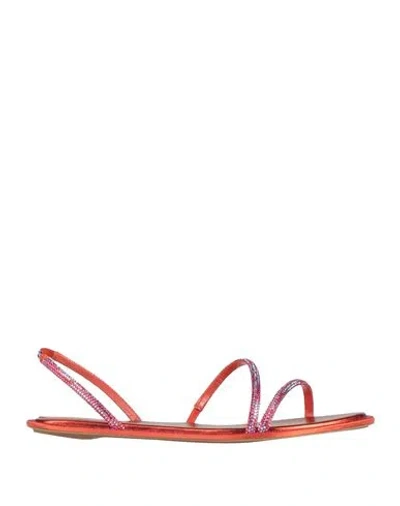 René Caovilla Rene' Caovilla Woman Sandals Orange Size 7 Textile Fibers
