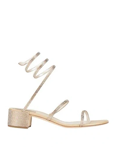 René Caovilla Rene' Caovilla Woman Sandals Platinum Size 6 Textile Fibers In Gold