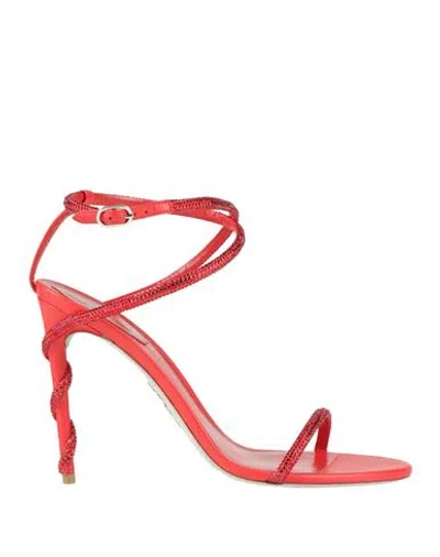 René Caovilla Rene' Caovilla Woman Sandals Red Size 9 Leather, Textile Fibers