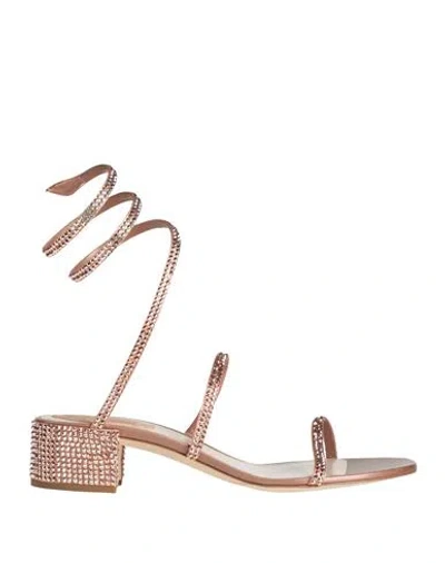 René Caovilla Rene' Caovilla Woman Sandals Rose Gold Size 7 Textile Fibers In Multi