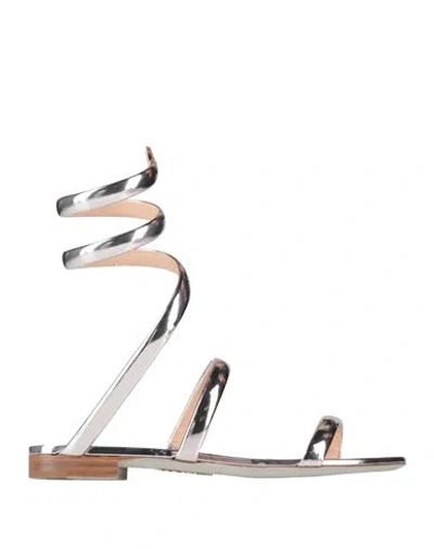 René Caovilla Rene' Caovilla Woman Sandals Silver Size 8 Calfskin