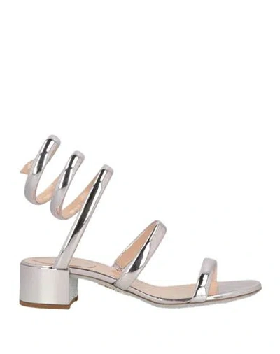 René Caovilla Rene' Caovilla Woman Sandals Silver Size 8 Calfskin