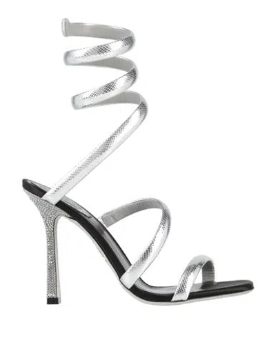 René Caovilla Rene' Caovilla Woman Sandals Silver Size 9 Leather In Silver