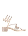 René Caovilla Rene' Caovilla Woman Thong Sandal Blush Size 9 Textile Fibers, Plastic In Pink