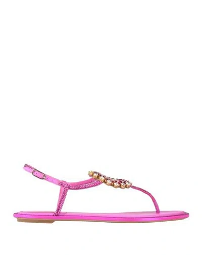 René Caovilla Rene' Caovilla Woman Thong Sandal Fuchsia Size 8 Textile Fibers In Pink
