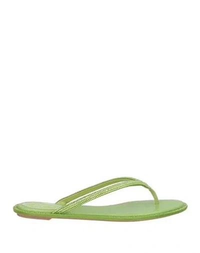 René Caovilla Rene' Caovilla Woman Thong Sandal Green Size 7 Textile Fibers