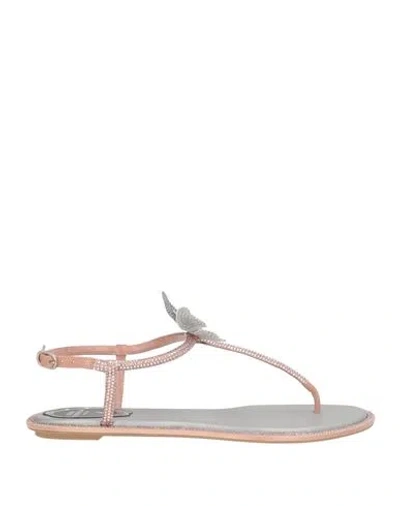 René Caovilla Rene' Caovilla Woman Thong Sandal Grey Size 6 Textile Fibers In Gray
