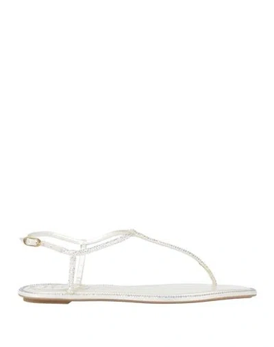René Caovilla Rene' Caovilla Woman Thong Sandal Ivory Size 6 Textile Fibers