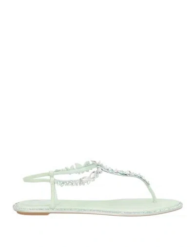 René Caovilla Rene' Caovilla Woman Thong Sandal Light Green Size 7.5 Textile Fibers In Blue