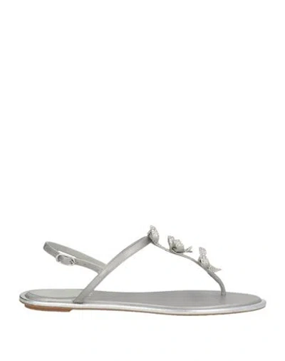 René Caovilla Rene' Caovilla Woman Thong Sandal Light Grey Size 8 Leather In Silver