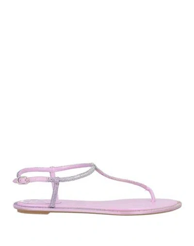 René Caovilla Rene' Caovilla Woman Thong Sandal Lilac Size 8 Textile Fibers In Purple