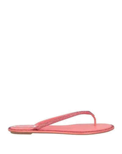 René Caovilla Rene' Caovilla Woman Thong Sandal Pastel Pink Size 9 Textile Fibers