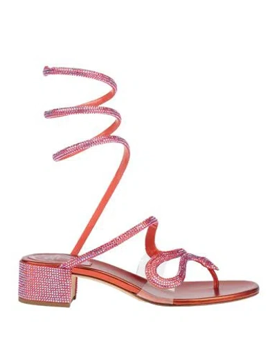 René Caovilla Rene' Caovilla Woman Thong Sandal Rust Size 6.5 Textile Fibers, Plastic In Red