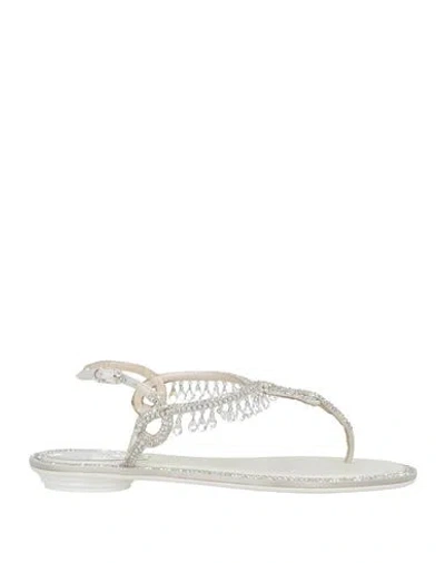 René Caovilla Rene' Caovilla Woman Thong Sandal Silver Size 7 Leather, Textile Fibers