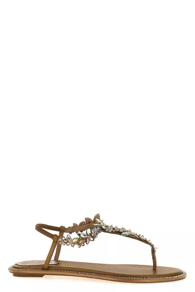 RENÉ CAOVILLA RENÉ CAOVILLA WOMEN 'DIANA' SANDALS