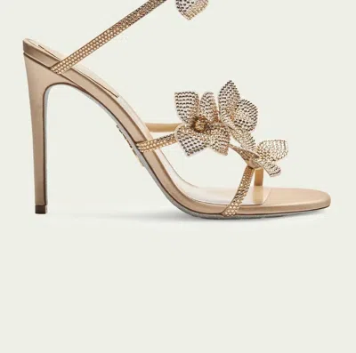 René Caovilla Women's Floriane Sandal In Honey In Gold