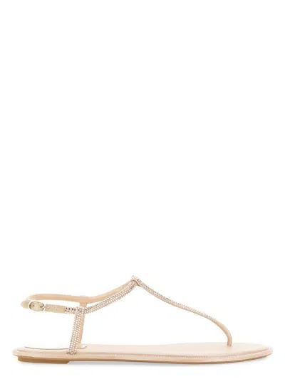 René Caovilla Women's Sandal Diana In Powder