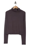 Renee C Cowl Neck Brushed Knit Crop Pullover In Purple