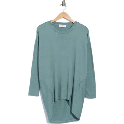 Renee C Ribbed Scoop Neck Sweater In Blue