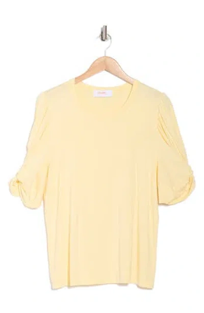 Renee C Ruched Sleeve Top In Neutral