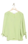 Renee C V-neck Long Sleeve Top In Dark Citron