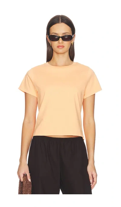Renggli Crop Tee In Orange
