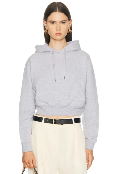 Renggli Hoodie In Gray