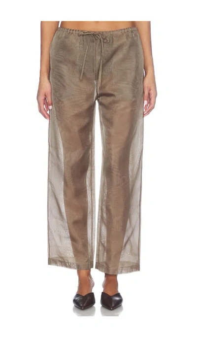 Renggli Organza Pant In Brown