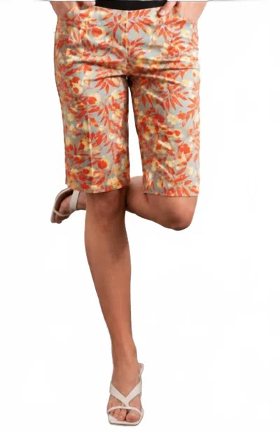 Renuar Bonbon Woven Short In Papaya In Multi