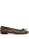 Repetto Cendrillon Ballet Flats In Brown