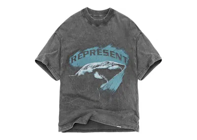 Pre-owned Represent Men's  Shark T-shirt In Vintage Grey