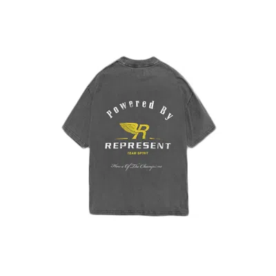 Pre-owned Represent Men's  Team Spirit T-shirt In Vintage Grey