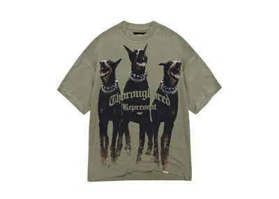 Pre-owned Represent Men's  Thoroughbred T-shirt In Khaki