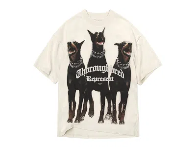 Pre-owned Represent Men's  Thoroughbred T-shirt In Vintage White