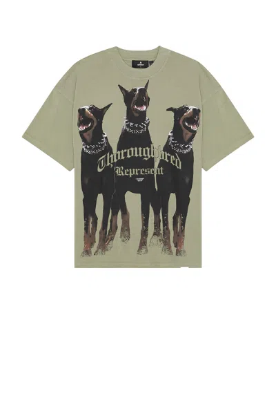 Represent T-shirt With Doberman Print In Green