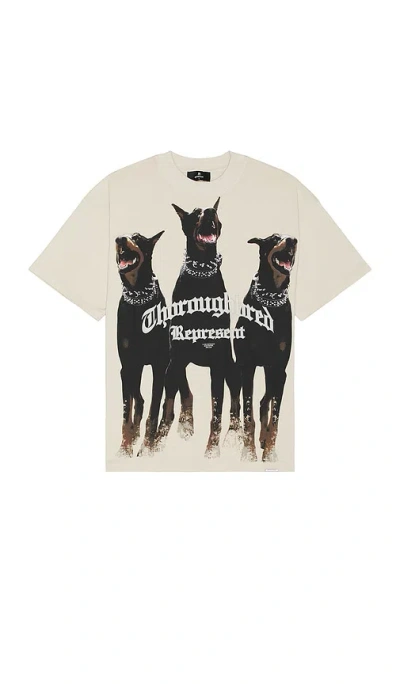 Represent Thoroughbred T-shirt In 复古白色