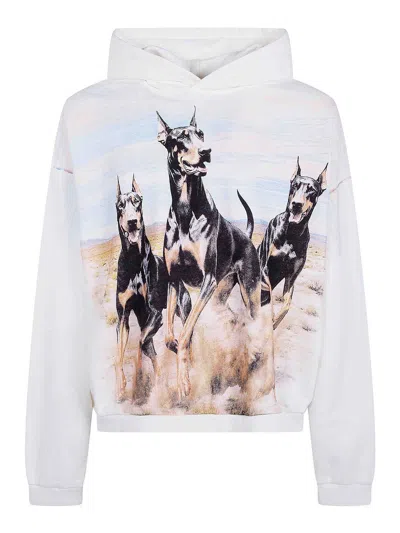 Represent Western Dobermans Hoodie In Multi