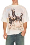 Represent T Shirt Western Doberman Graphic Crew Neck In Multi