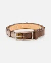 Reptile's House Bahia Belt In Brown