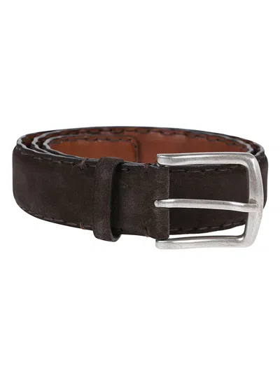 Reptile's House Belt In Brown