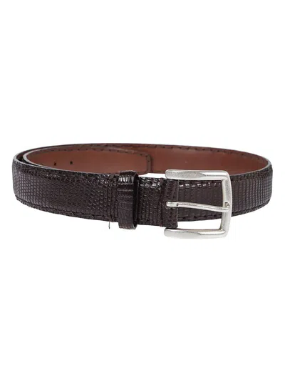 Reptile's House Belt In Brown