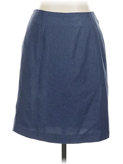 Pre-owned Requirements Casual Skirt In Blue