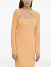 Resume Cut-out Long-sleeve Dress In Orange